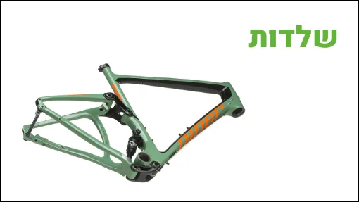שלדות
