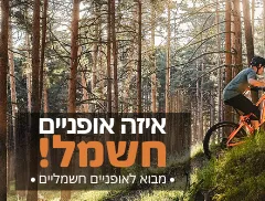 מבוא לחשמליים