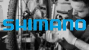 Shimano Store